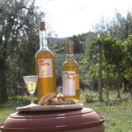 Отель Agriturismo Podere Somigli Di Lorenzo Correani Греве-ин-Кьянти Экстерьер фото
