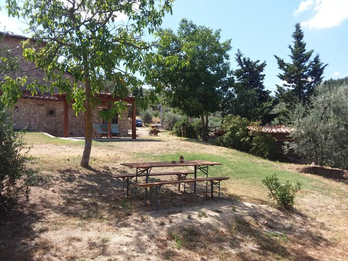 Отель Agriturismo Podere Somigli Di Lorenzo Correani Греве-ин-Кьянти Экстерьер фото