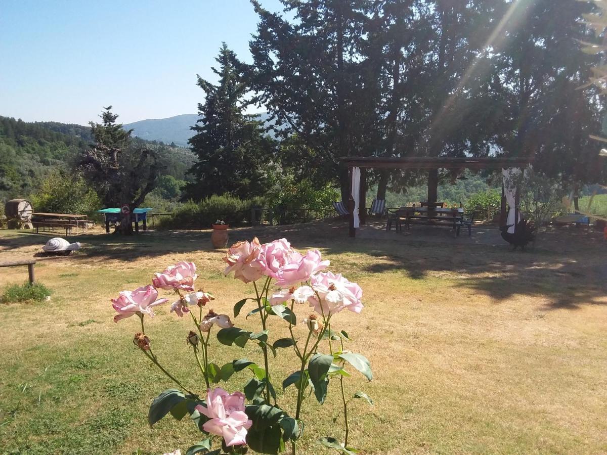 Отель Agriturismo Podere Somigli Di Lorenzo Correani Греве-ин-Кьянти Экстерьер фото