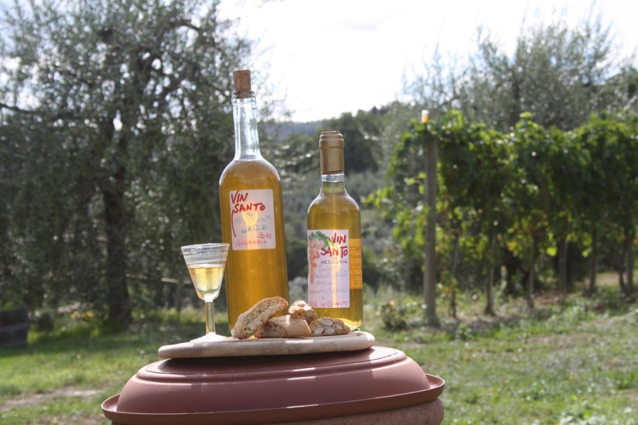 Отель Agriturismo Podere Somigli Di Lorenzo Correani Греве-ин-Кьянти Экстерьер фото
