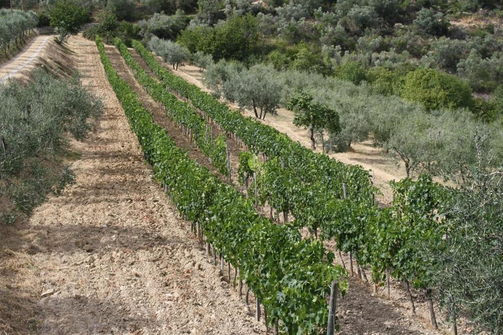 Отель Agriturismo Podere Somigli Di Lorenzo Correani Греве-ин-Кьянти Экстерьер фото